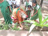 WhatsApp Image 2025-06-05 at 4.42.04 PM (1)